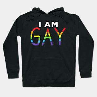 Gay Pride I Am Gay I Am Not Straight Hoodie